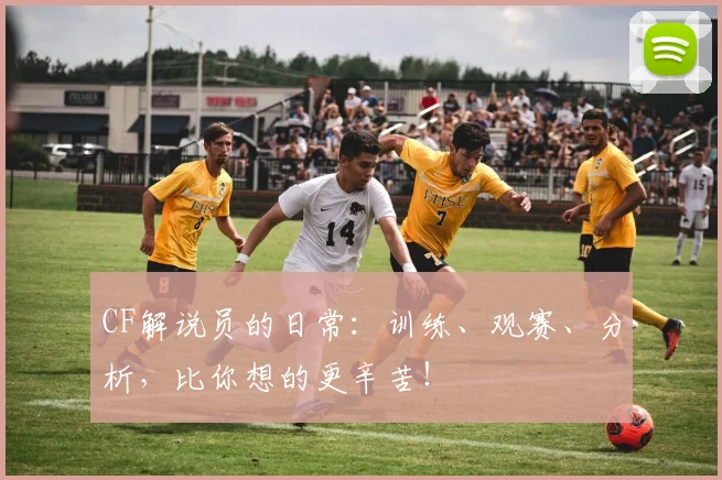 CF解说员的日常：训练、观赛、分析，比你想的更辛苦！