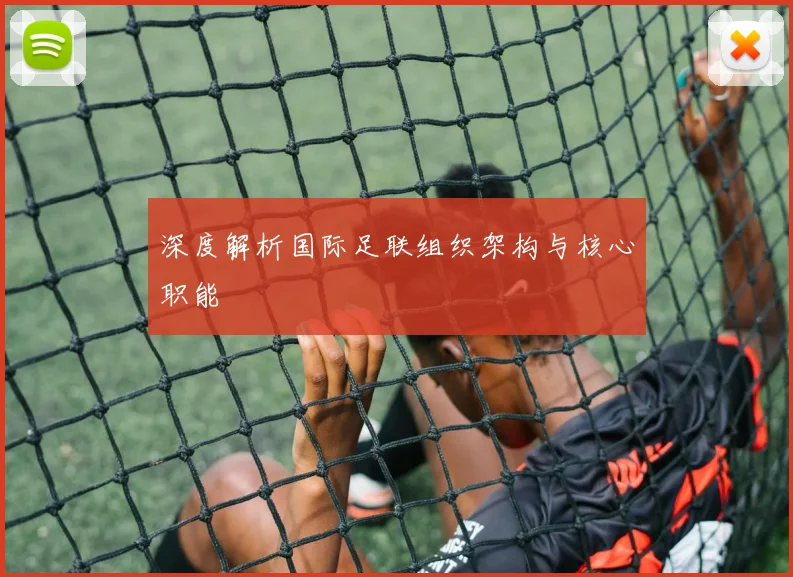 深度解析国际足联组织架构与核心职能